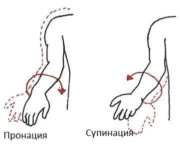 Пронация и гиперпронация стопы: почему это важно для выбора кроссовок? | training365.ru | яндекс дзен