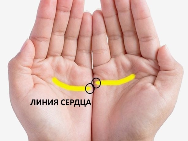 Что длина пальцев говорит о характере человека