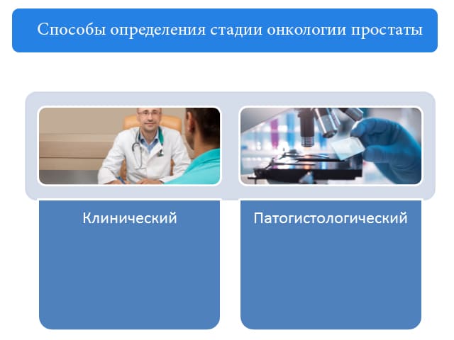 «чи да?» и «ти да?» что значит странный мем и за что ненавидят его создателя