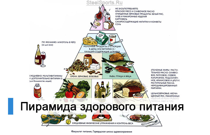 Пирамида питания: основы, правила и уровни