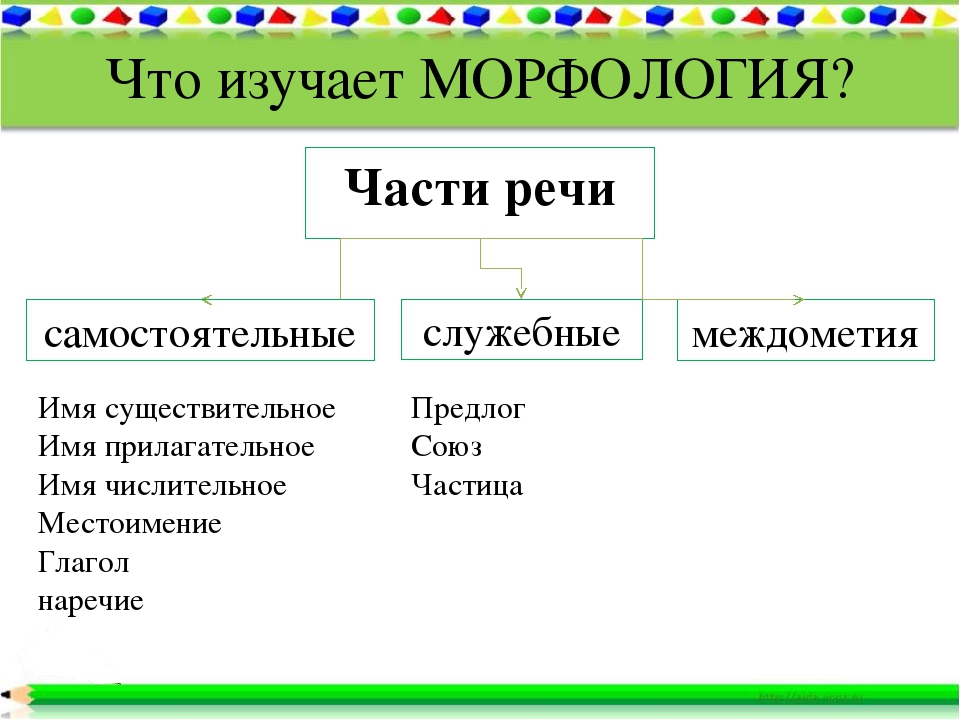 Разделы науки изучающие слово. Морфология самостоятельные и служебные части речи. Морфология самостоятельные и служебные части речи 5 класс. Морфология самостоятельные и служебные части речи кратко. Морфология это наука изучающая.