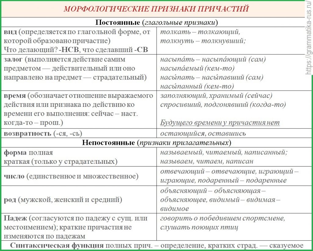 Что такое глагол в русском языке?