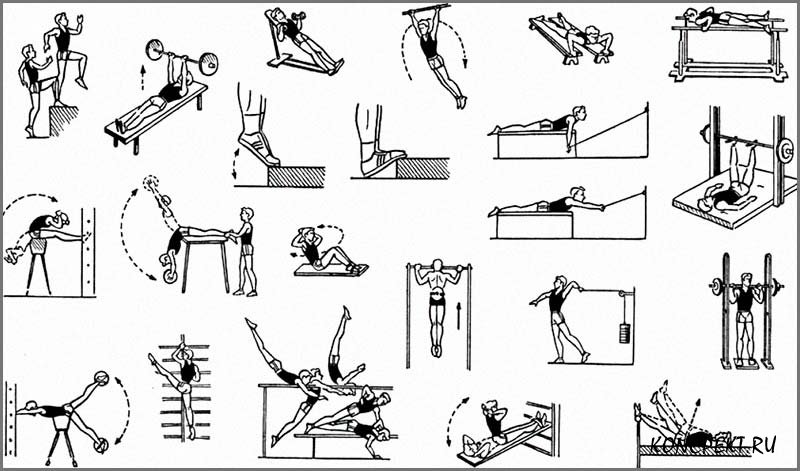 Физические упражнения — википедия. что такое физические упражнения