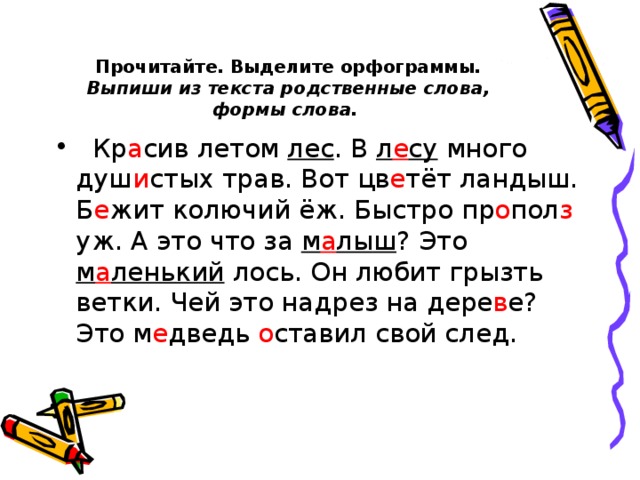 Что такое орфограмма в русском языке. что обозначает слово орфограмма