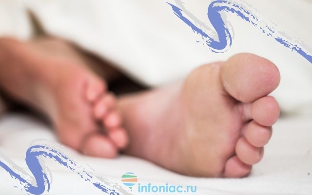 Как устроена стопа? анатомия костей стопы человека