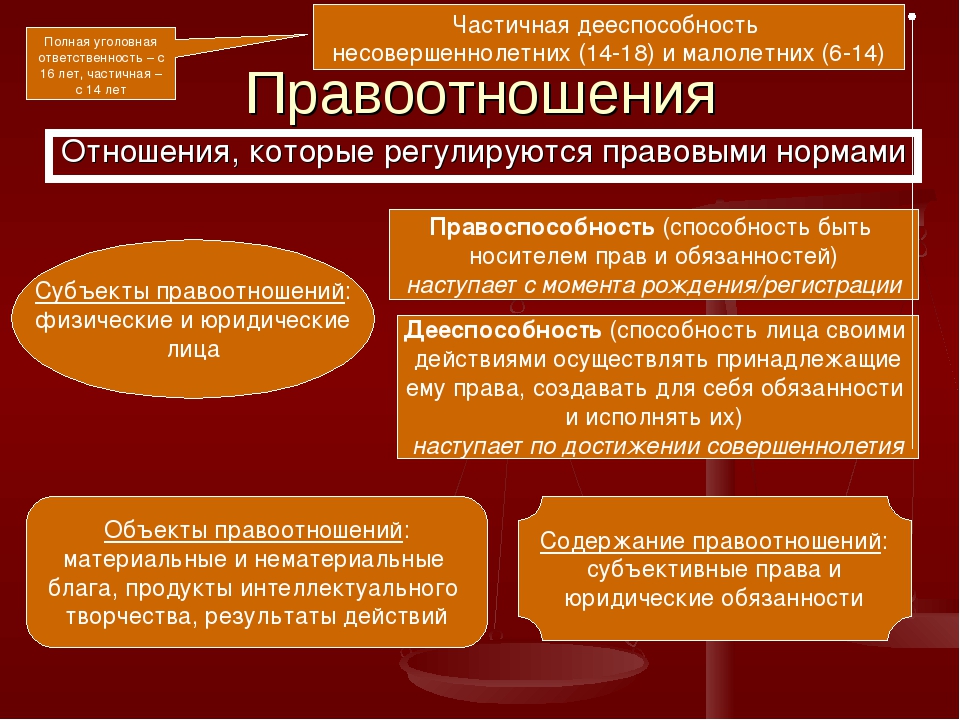 Правоотношение это связь между субъектами составьте план