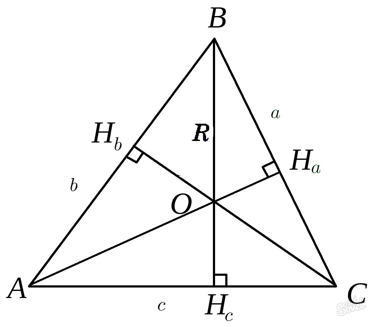 Высота треугольника