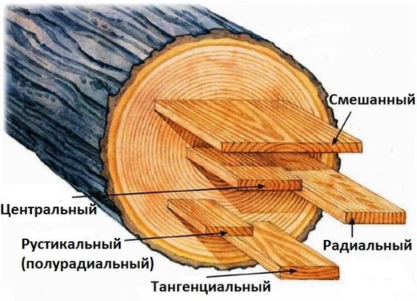 Что такое шпон