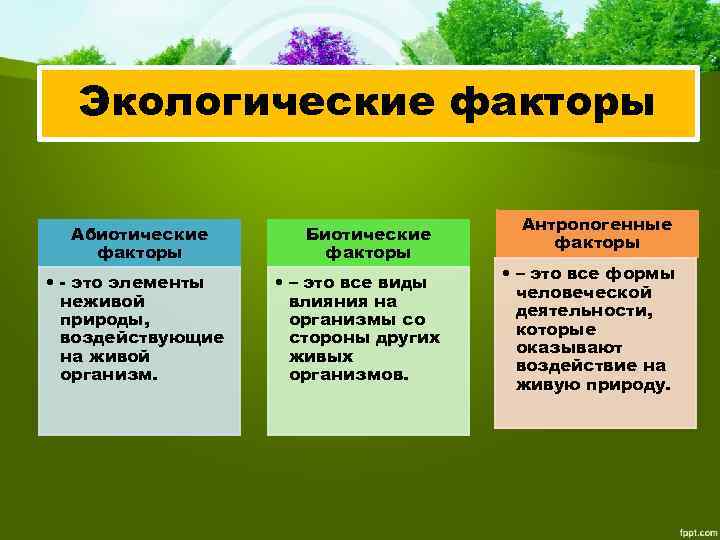 Экологические факторы окружающей среды