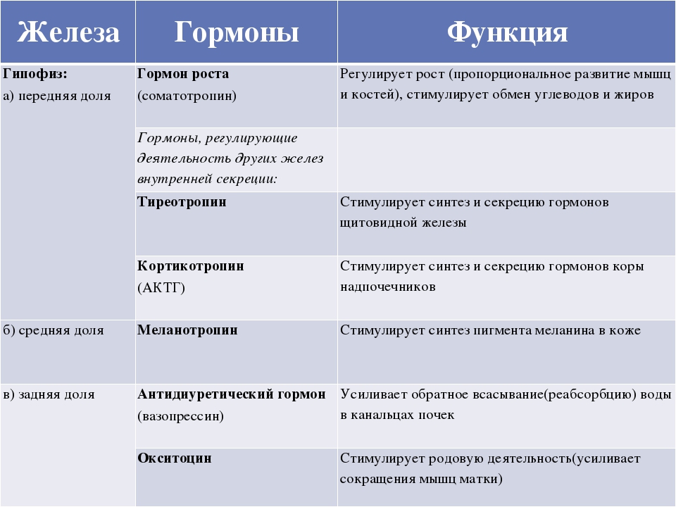 Активность другими словами. Функции гормонов передней доли гипофиза. Гормоны гипофиза и их функции таблица. Гормоны передней доли гипофиза и их функции таблица. Гормоны задней доли гипофиза таблица.