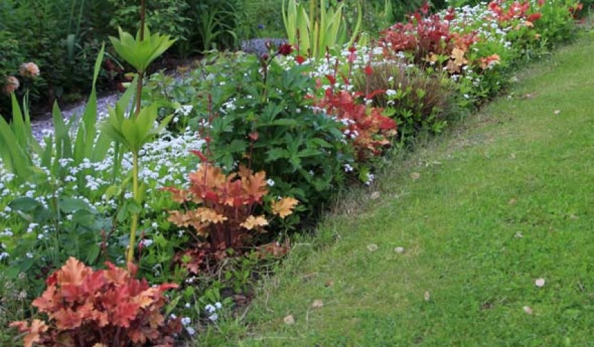 Рабатка: стильные решения при оформлении сада, участка или придомовой территории