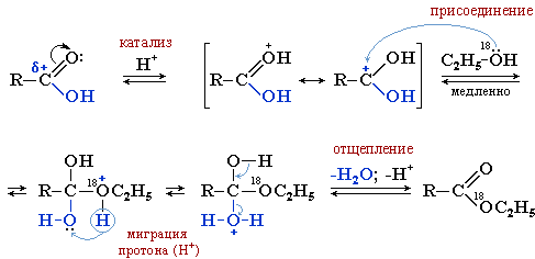 Методы получения сложных эфиров карбоновых кислот (о-ацилирование)