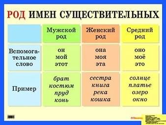 Имя существительное в русском языке: классы, род, число, падежи и склонение