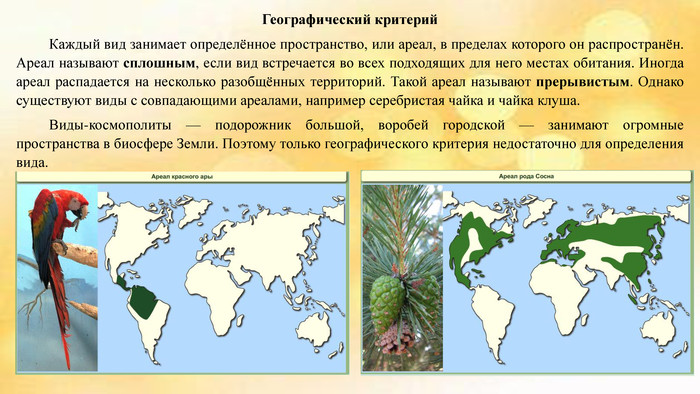 Экологическая периферия это
