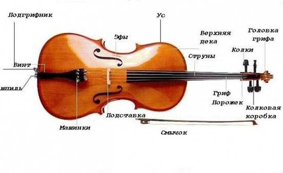 Народная скрипка — википедия. что такое народная скрипка