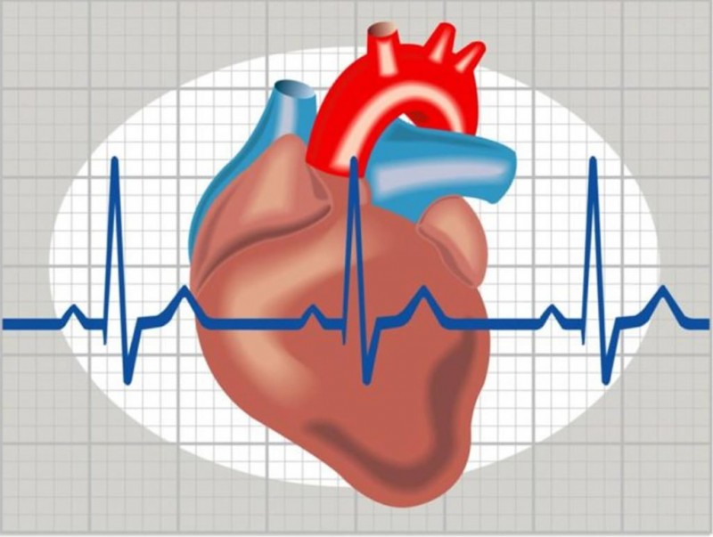 Мерцательная аритмия сердца: причины, симптомы, классификация, лечение, прогноз жизни