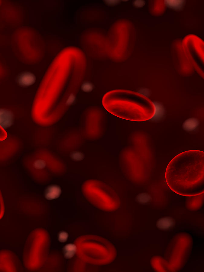 Эритроциты в крови: повышенные, пониженные, норма – что значит?