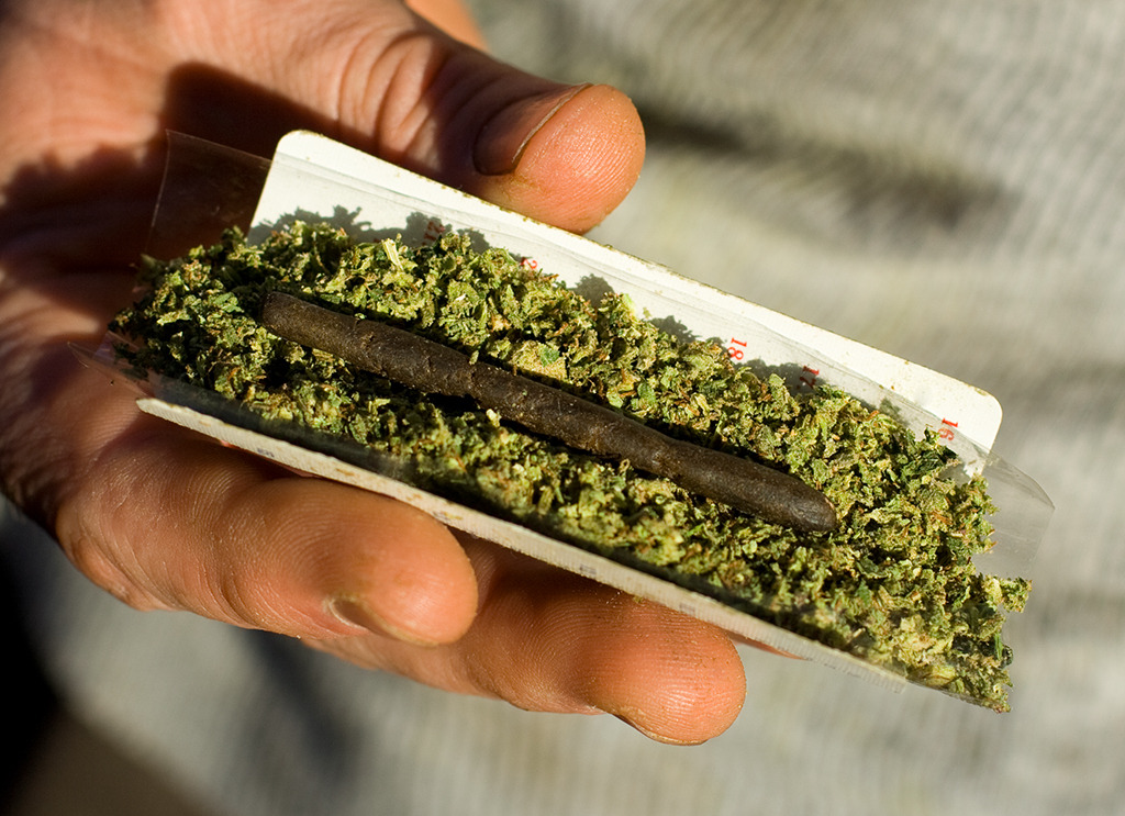 Курят ли семена конопли как марихуану пустить по вене