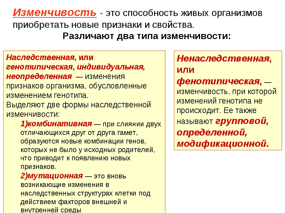 Не наследуются вырабатываются в процессе эволюции. Наследственность и изменчивость биология 10 класс кратко. Изменчивость это кратко. Виды наследуемой изменчивости. Типы изменчивости организмов.