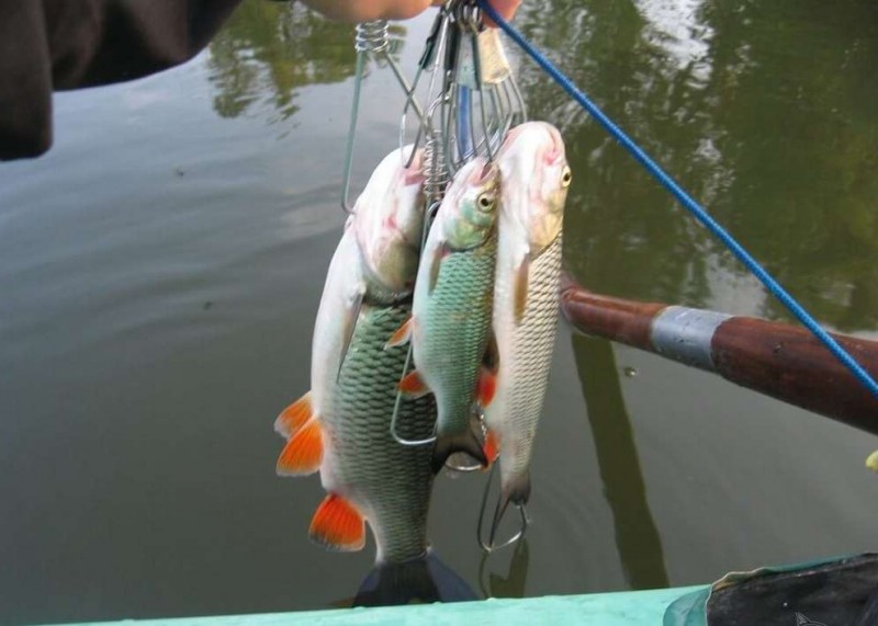 Роль кукана в рыбалке: что это такое и как его сделать своими руками