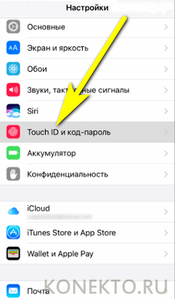 Iphone без touch id