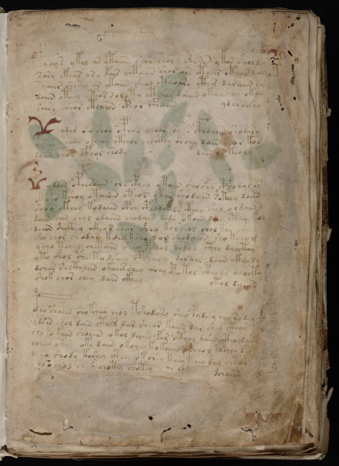 Манускрипт (рукопись) войнича — полный текст и расшифровка