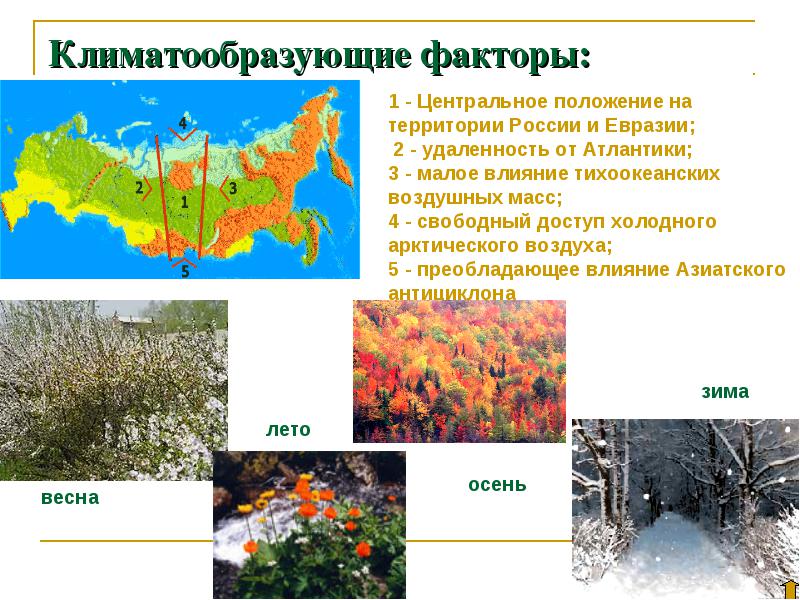 Основные климатообразующие факторы россии. что такое климатообразующие факторы россии?