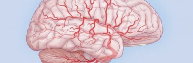 Цефалгия головного мозга — что это такое, почему развивается и в чём проявляется