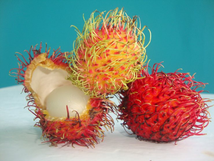 Какие полезные свойства фрукта рамбутан? какой вред, вкус и калорийность?