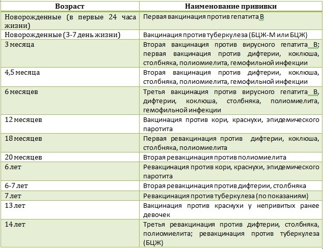 В россии создали вакцину от коронавируса. как ее исследовали и кто получит первым