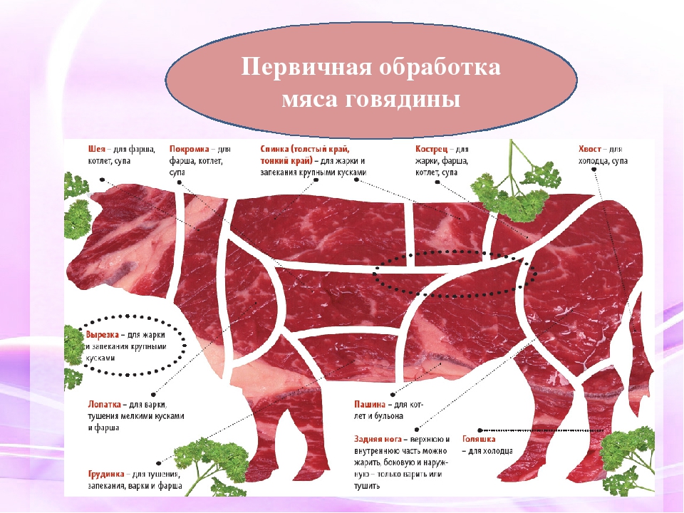 ✅ кострец фото. что такое говяжий кострец и какие блюда из него приготовить? - cvetochki-ulyanovsk.ru