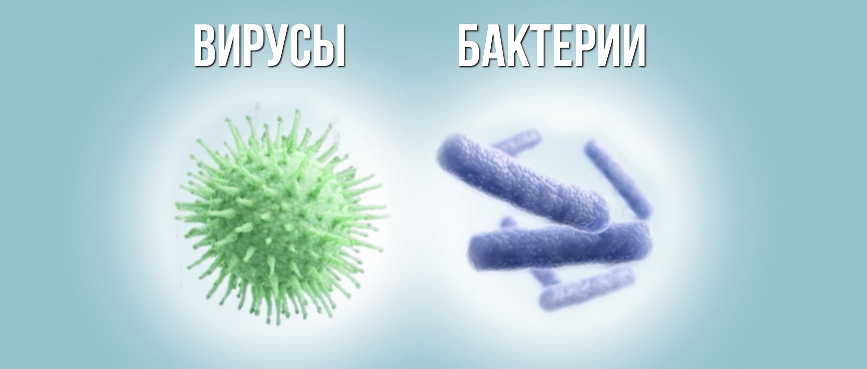 Бактерии и вирусы: как поражают клетки организма, в чем разница и когда нужны антибиотики | saltmag | яндекс дзен