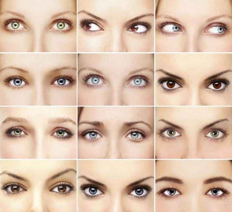 Строение глаза: структура и описание - "здоровое око"