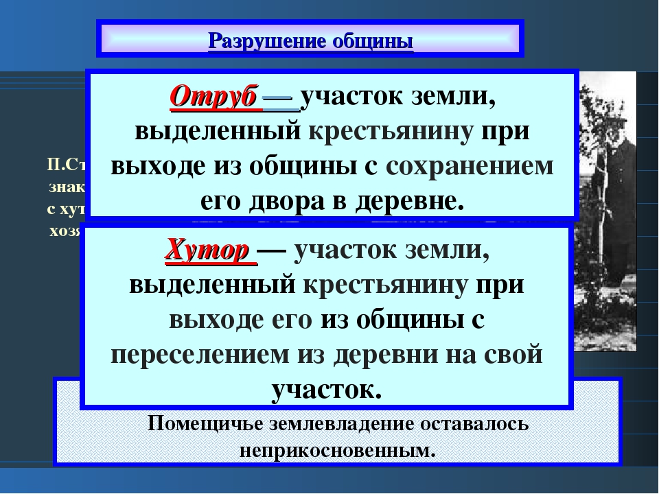 Что такое отруби и чем они полезны для здоровья