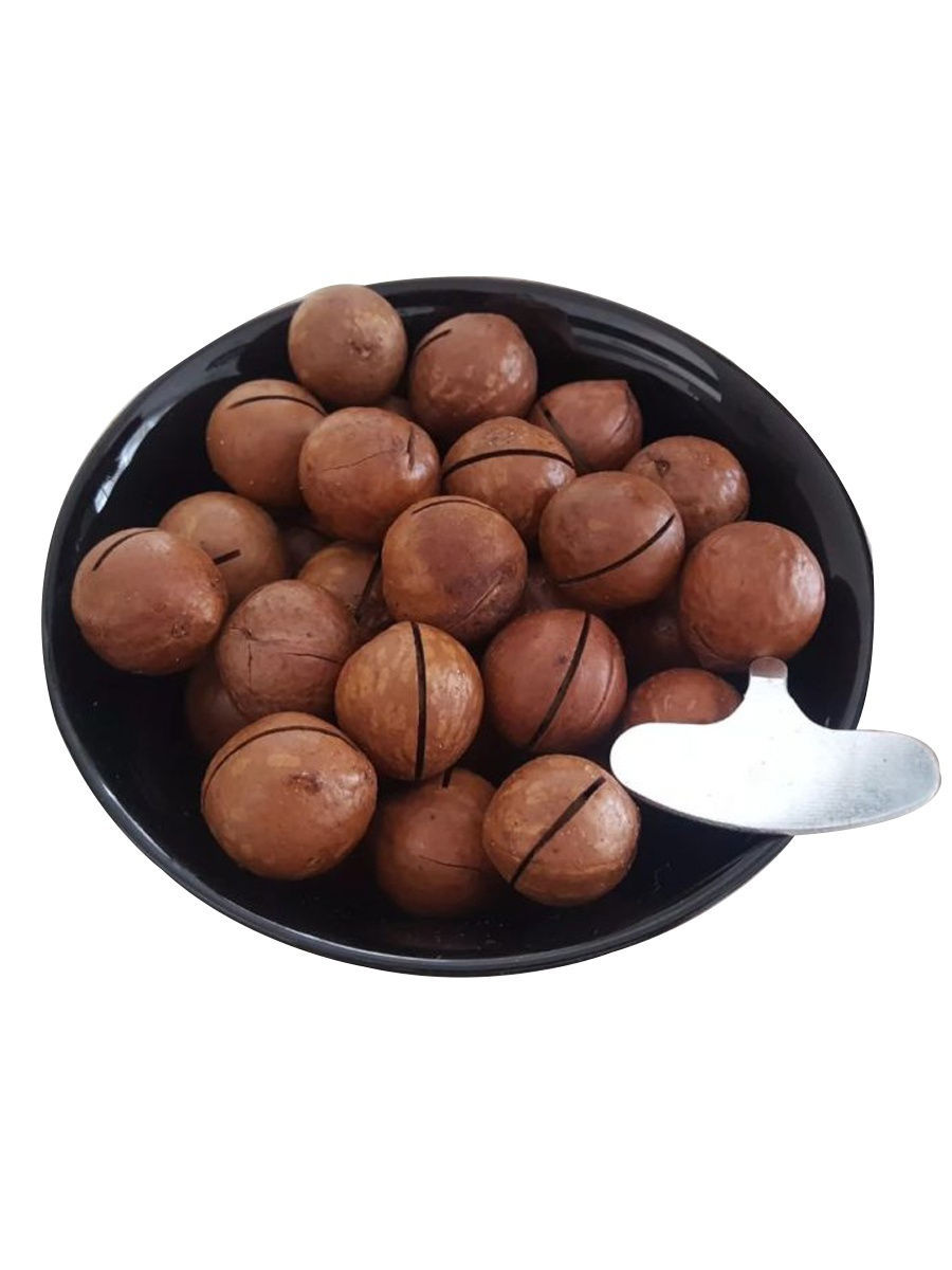 Полезные свойства макадамии и противопоказания для употребления ореха