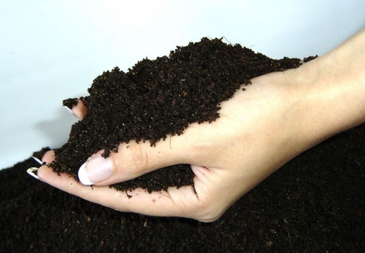 Что такое биогумус и как его использовать для огорода и рассады