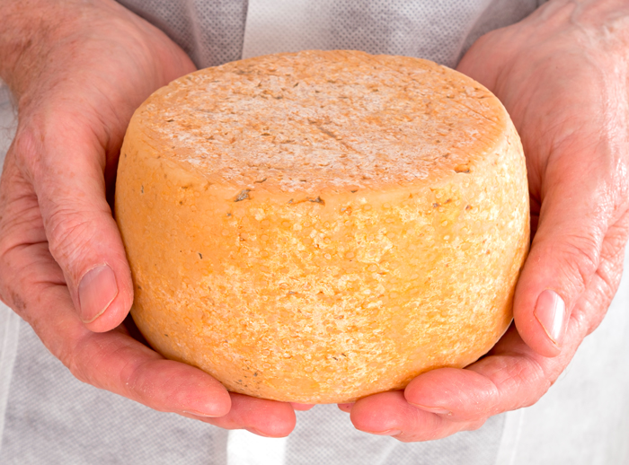Качокавалло | энциклопедия сыра | сырный дом: все для домашнего сыроделия