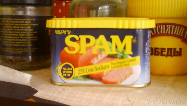 Понятие спама в интернете, его виды и особенности. чем опасен спам и как от него защититься?