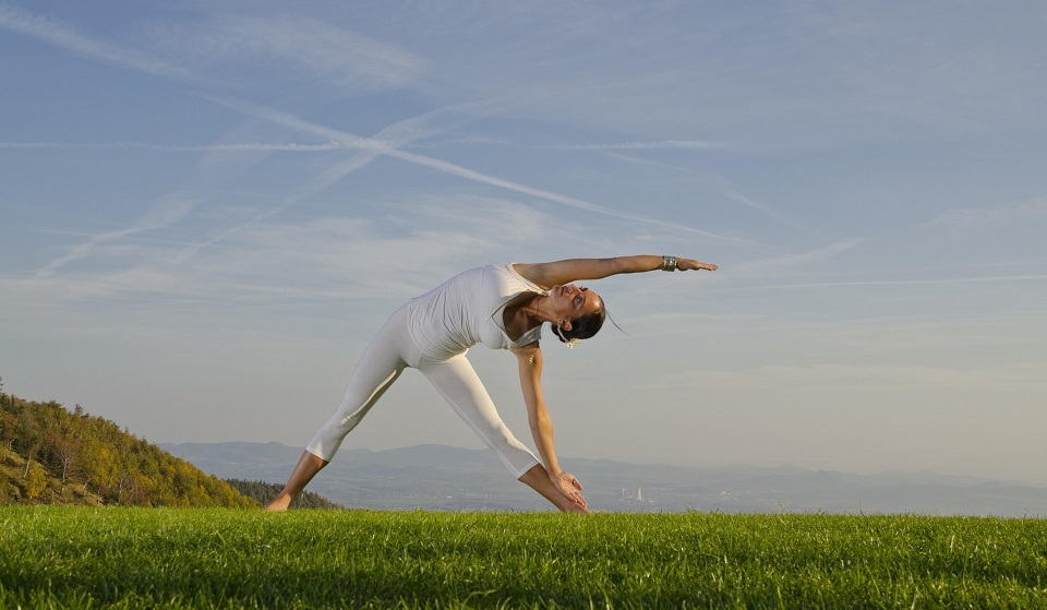 Хатха-йога - философия и упражнения для гармонизации тела и души
