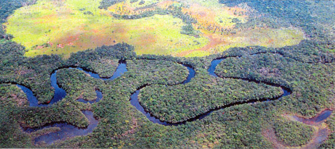 Перуанская сельва: «амазонская равнина перу»