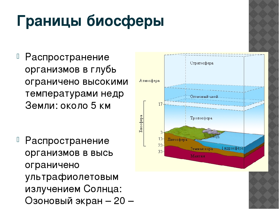 Где располагаются границы биосферы. Биосфера границы биосферы среды. Верхняя граница биосферы. Рис 103 границы биосферы. Схема границы биосферы 6 класс.