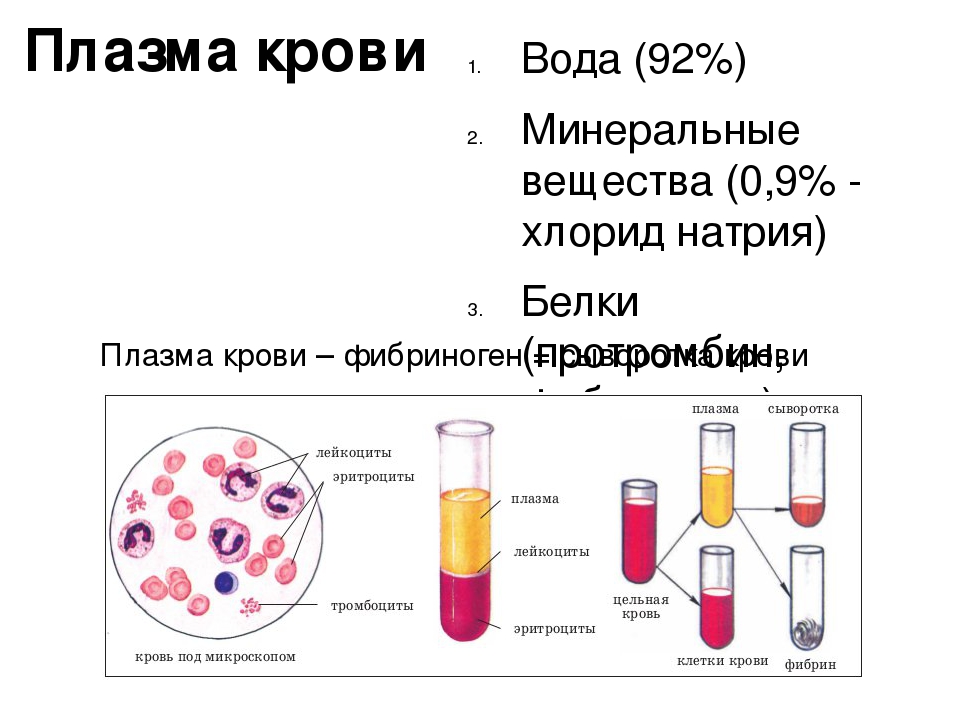 В состав плазмы крови входят белки