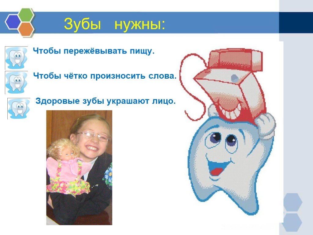 Зубы человека — википедия. что такое зубы человека