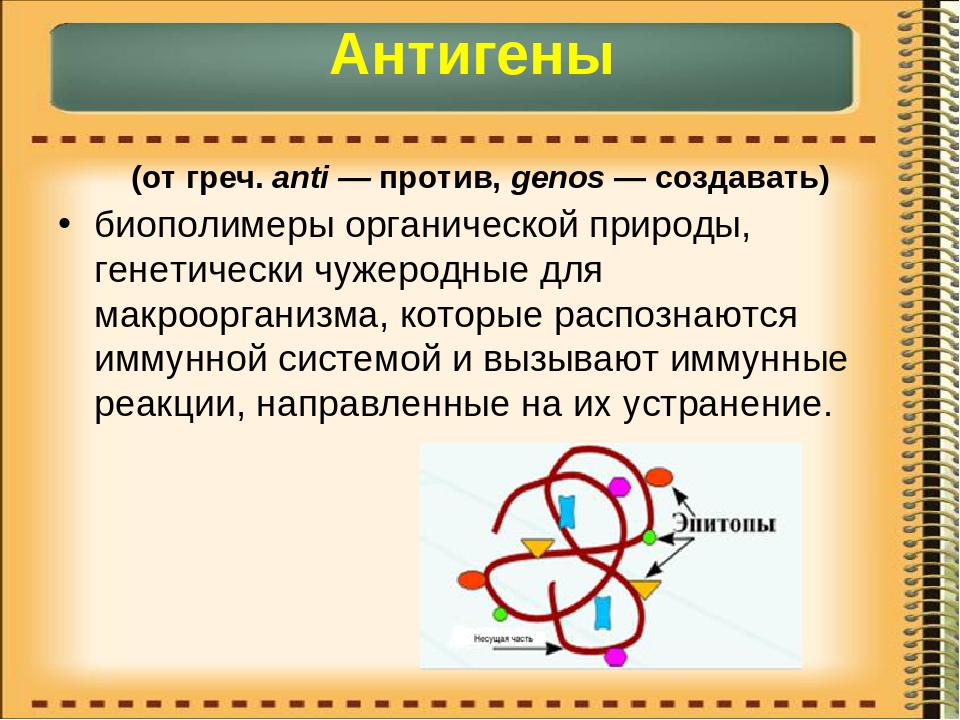 Антиген это. Антиген. Строение антигена иммунология. Антигены и антитела иммунология. Антигены микробиология.