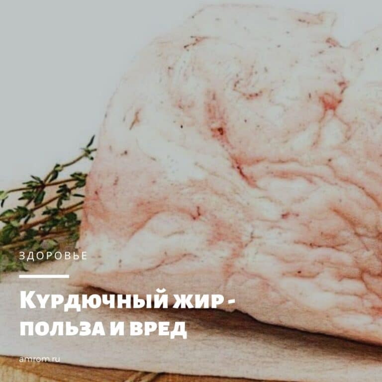 Что такое курдюк у человека фото