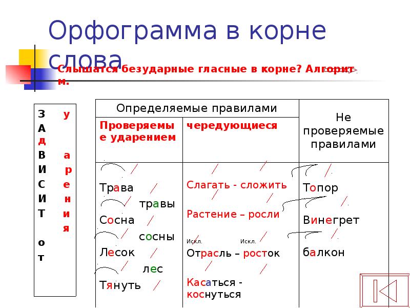 Что такое орфограмма в русском языке?