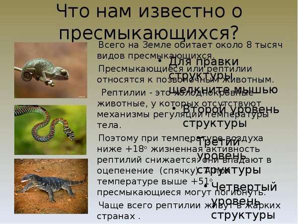 Что такое рептилия?. мир животных