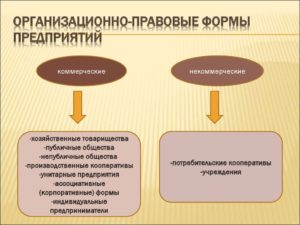 Организационно-правовые формы: что это такое и какие они бывают