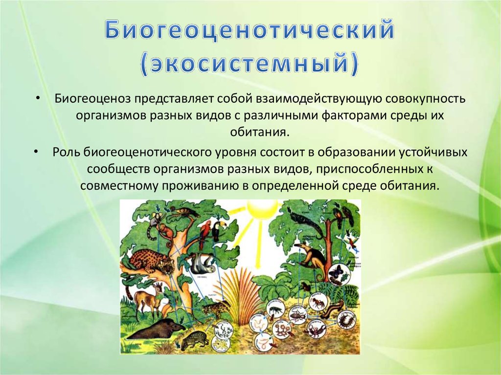 Виды и примеры биогеоценоза. биогеоценоз и экосистема