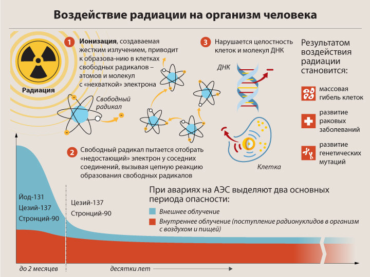 Насколько опасна доза радиации, получаемая при рентгене? | rvdku.ru